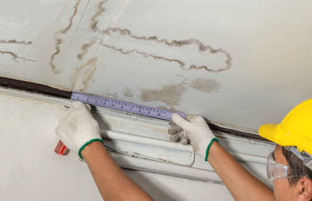 Reliable Sewage Cleanup contractor in Bloomdale, OH by Water Damage Irwin